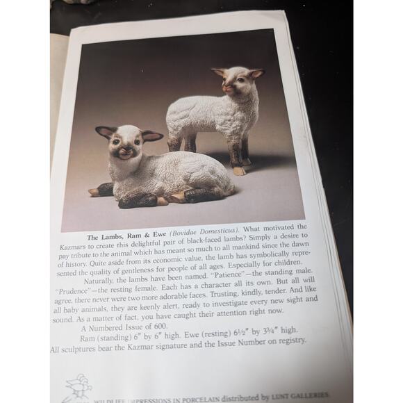 Kazmar Lambs Ram and Ewe set official certificate - Picture 8 of 10